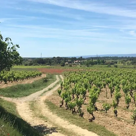 别墅 Villa In Montbrun With Pool & Vineyard Views, Cleaning Included